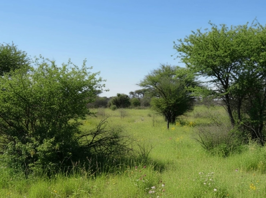 Commercial Property for Sale in Vryburg Rural North West